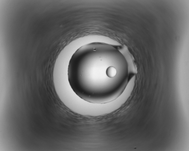 X0000086260818200704261954