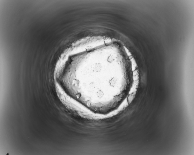 X0000086260819200704261954