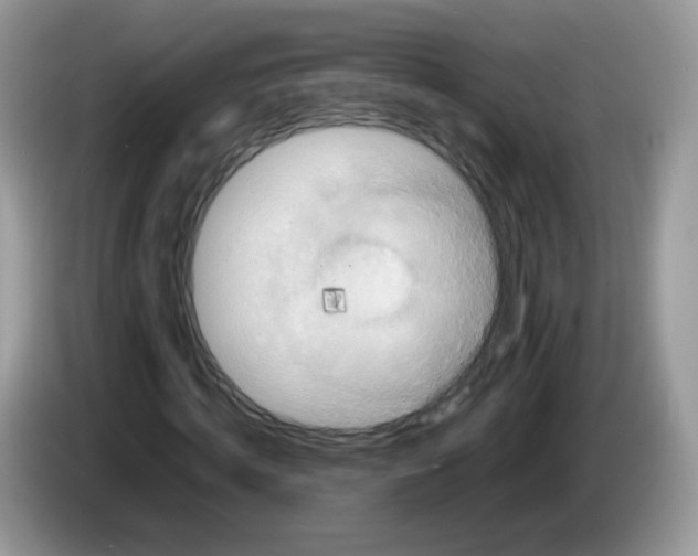 X0000086260820200704261954