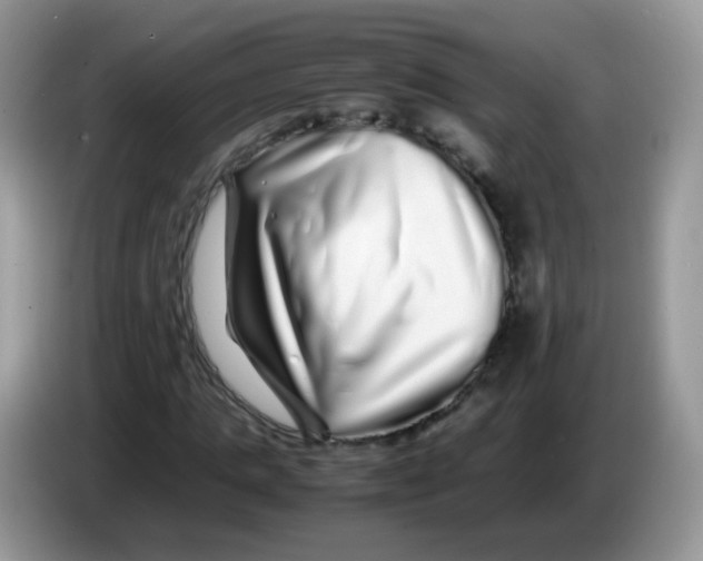 X0000086260821200704261954