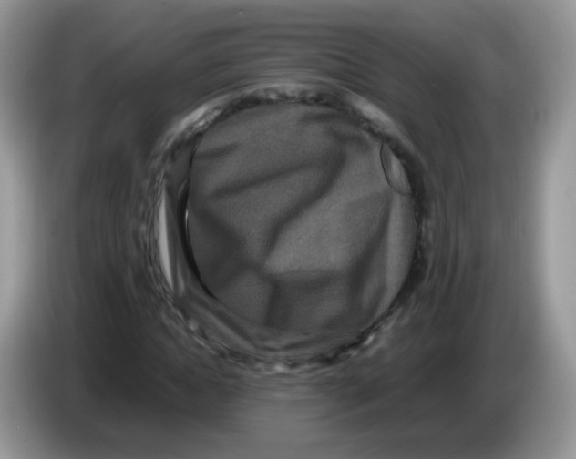 X0000086260822200704261954