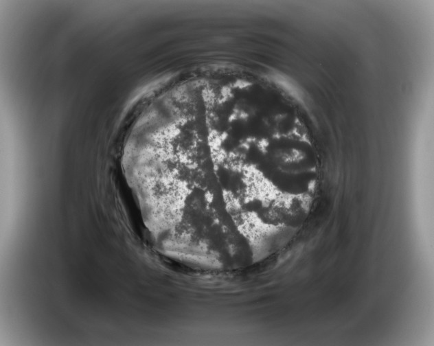 X0000086260823200704261954
