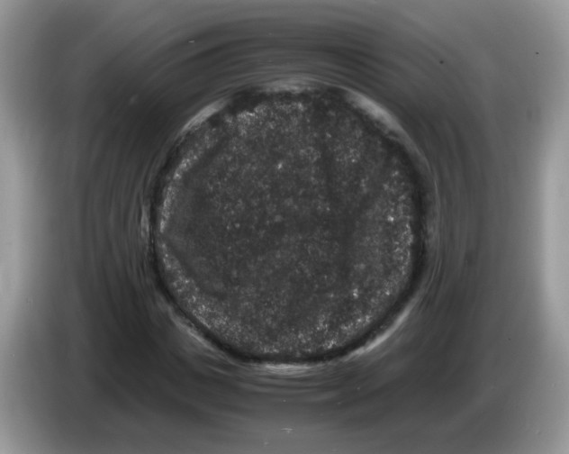 X0000086260825200704261954