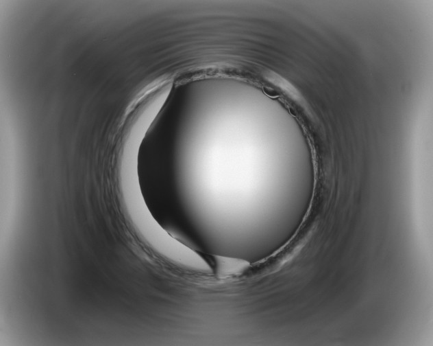 X0000086260826200704261954