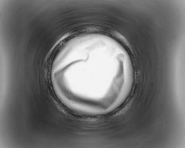 X0000086260827200704261954