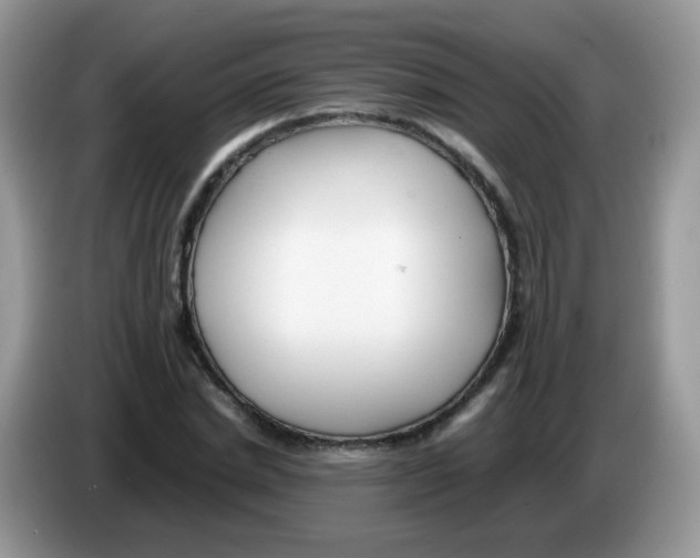 X0000086260830200704261954