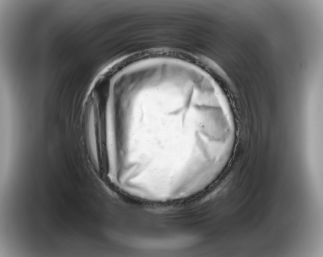 X0000086260831200704261954