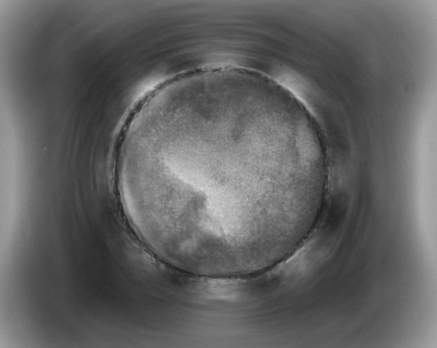 X0000086260832200704261954