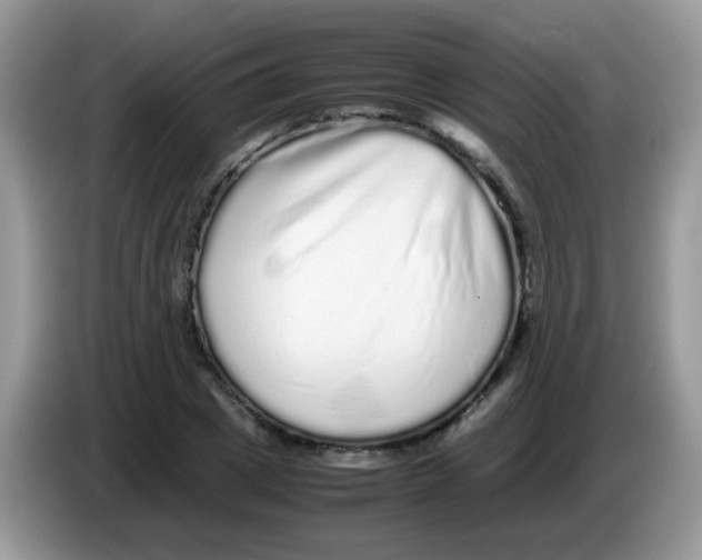 X0000086260833200704261954