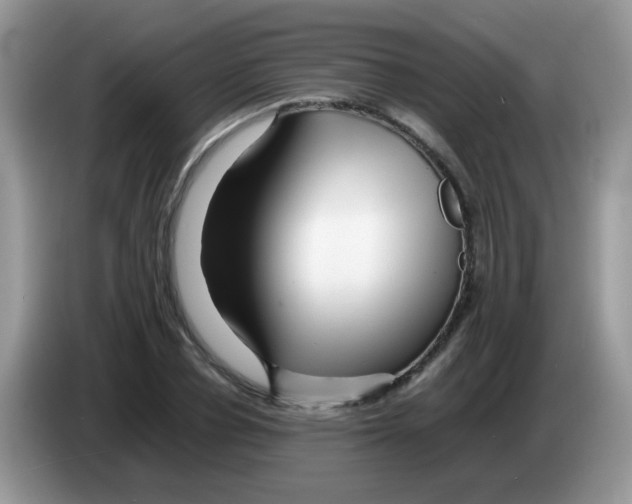 X0000086260834200704261954