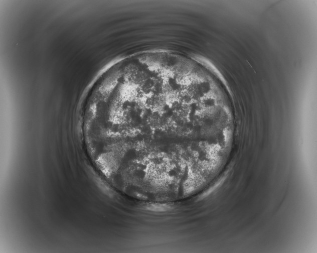 X0000086260835200704261954