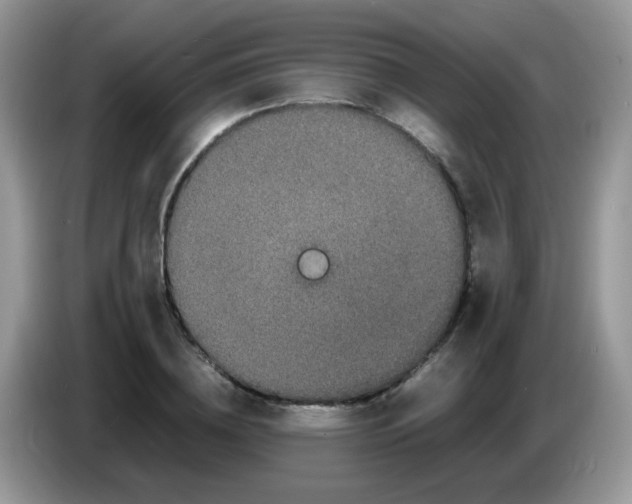 X0000086260836200704261954