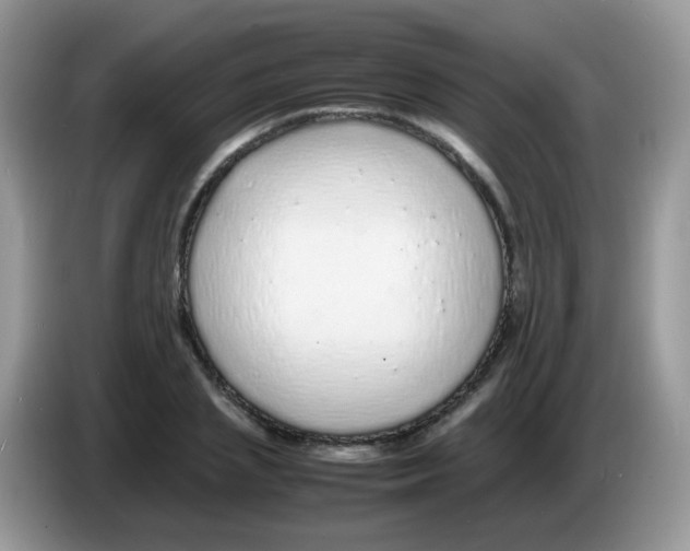 X0000086260837200704261954