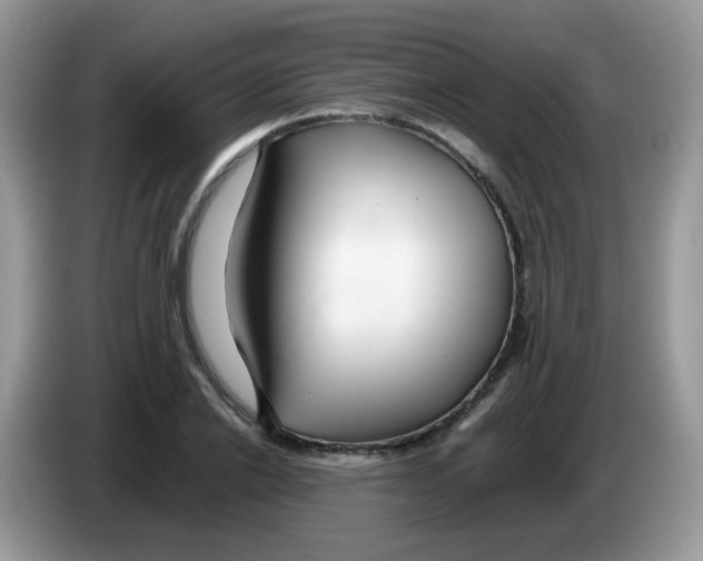 X0000086260838200704261954