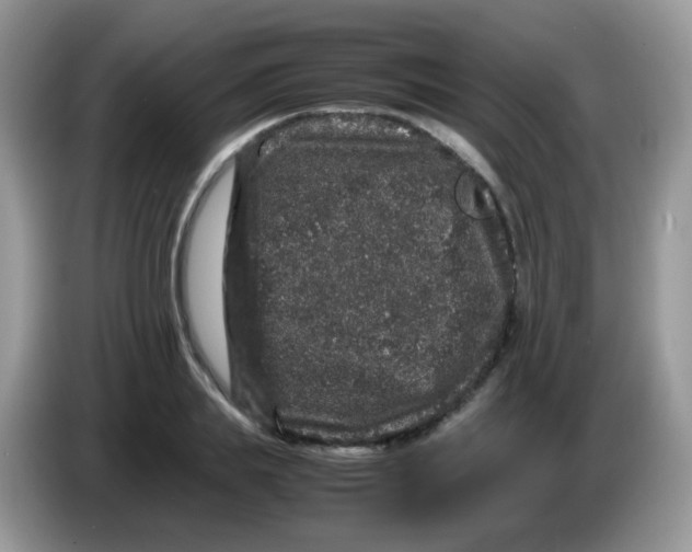 X0000086260839200704261954