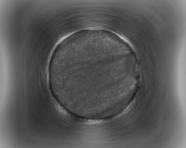 X0000086260840200704261954