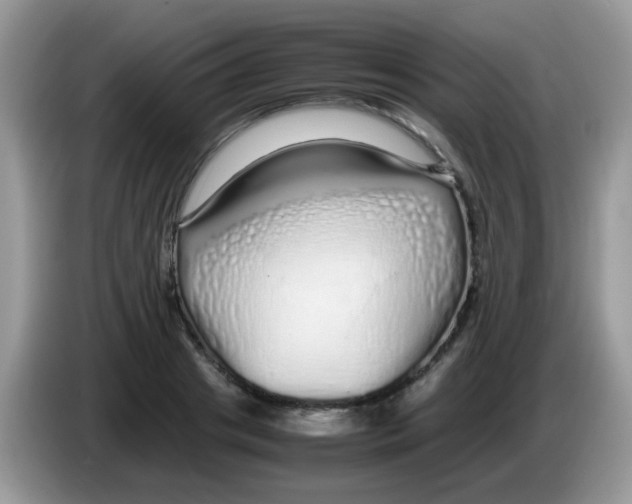 X0000086260841200704261954