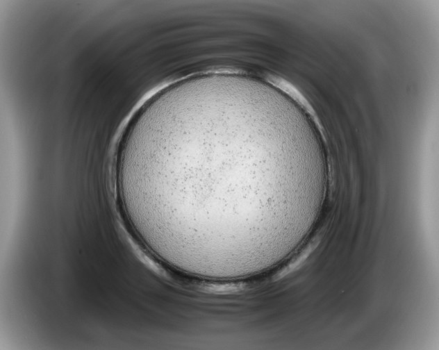 X0000086260843200704261954