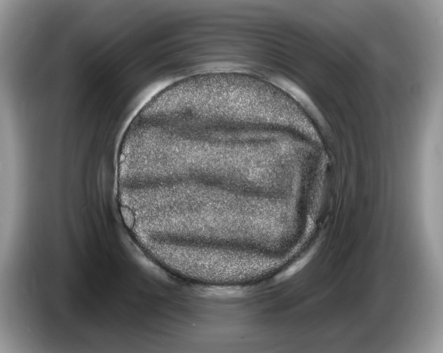 X0000086260844200704261954