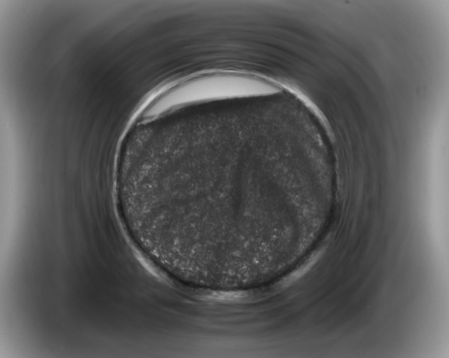 X0000086260845200704261954