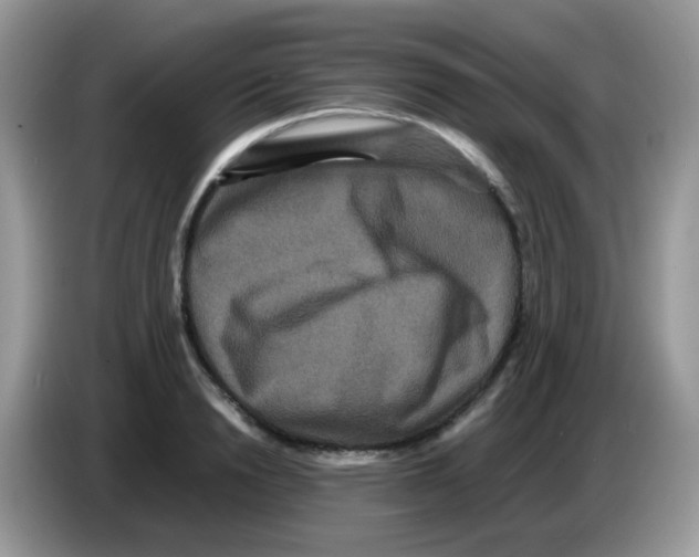 X0000086260846200704261954