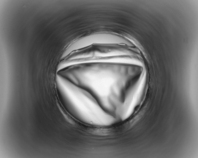 X0000086260849200704261954