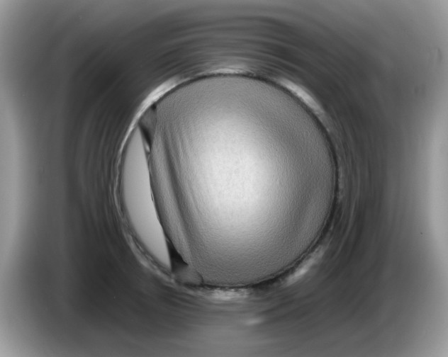 X0000086260850200704261954