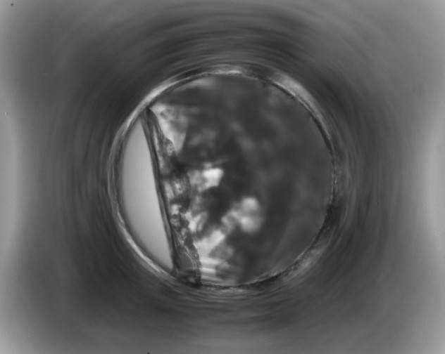 X0000086260851200704261954