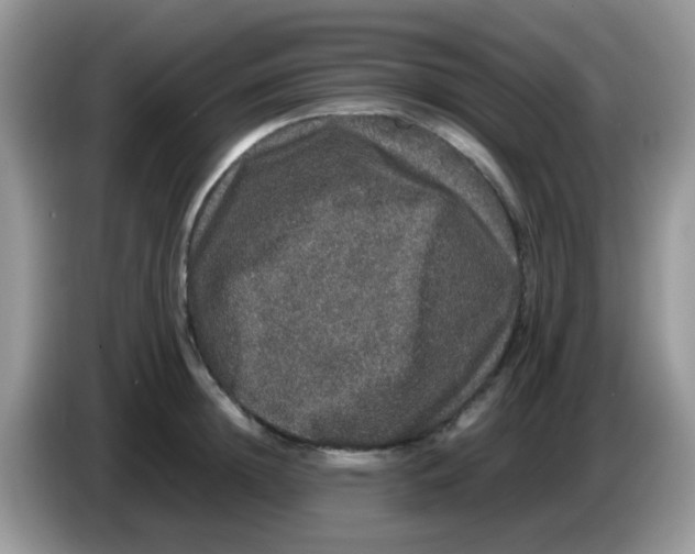 X0000086260852200704261954