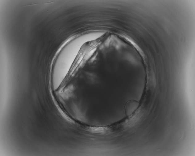 X0000086260853200704261954