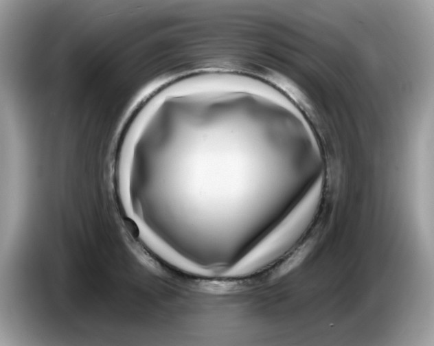 X0000086260854200704261954