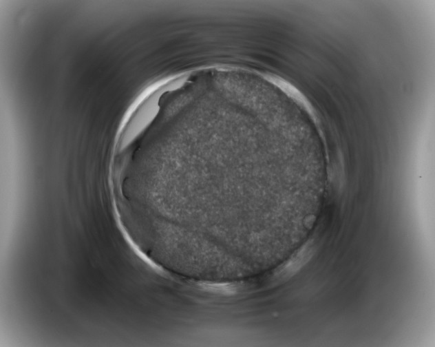 X0000086260855200704261954