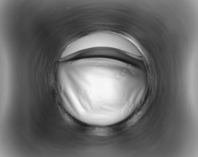 X0000086260857200704261954