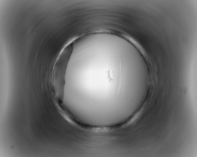 X0000086260858200704261954