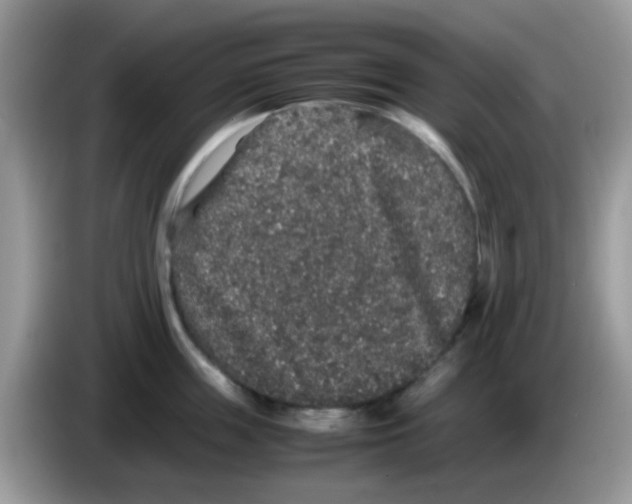 X0000086260859200704261954