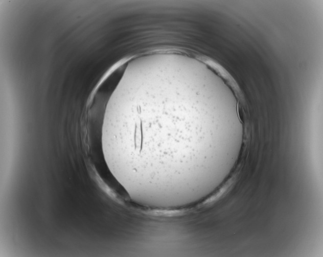 X0000086260860200704261954