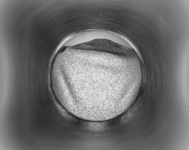 X0000086260861200704261954