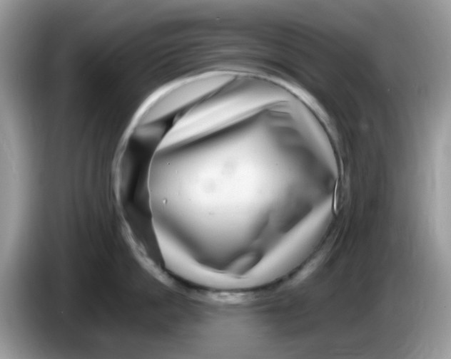X0000086260862200704261954