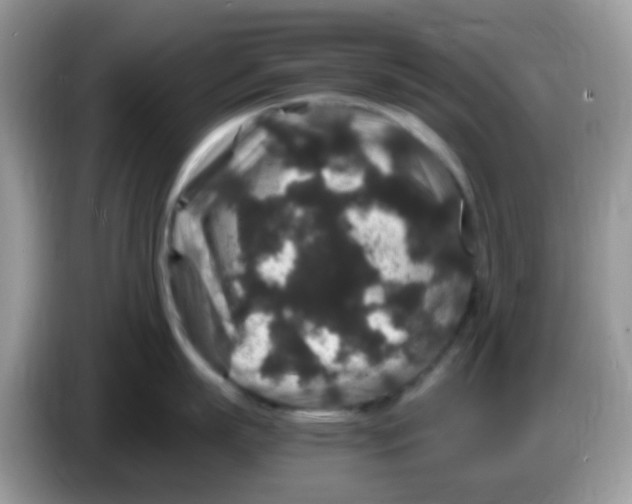 X0000086260863200704261954