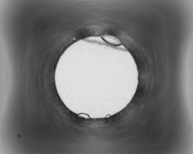 X0000086260865200704261954