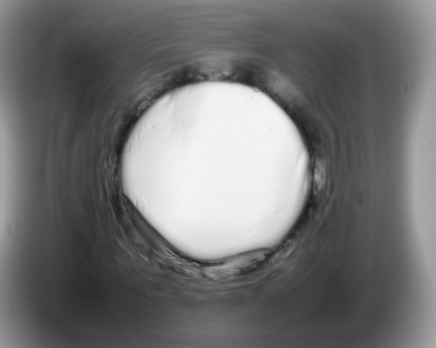 X0000086260867200704261954