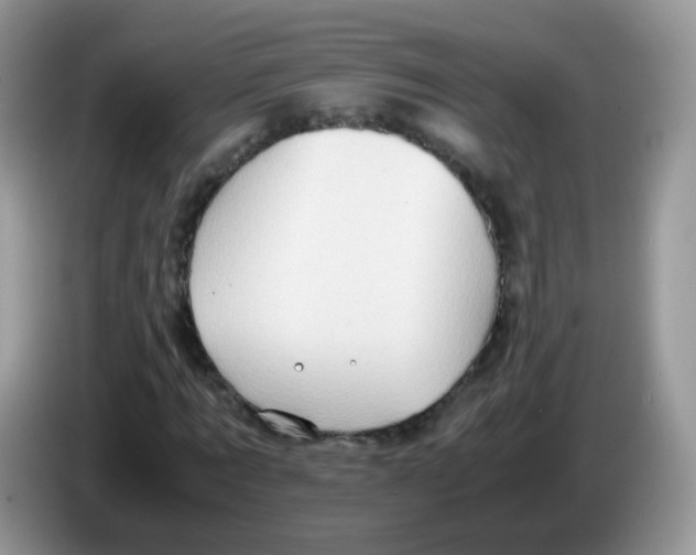 X0000086260869200704261954