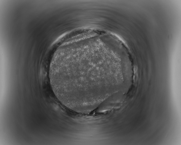 X0000086260872200704261954