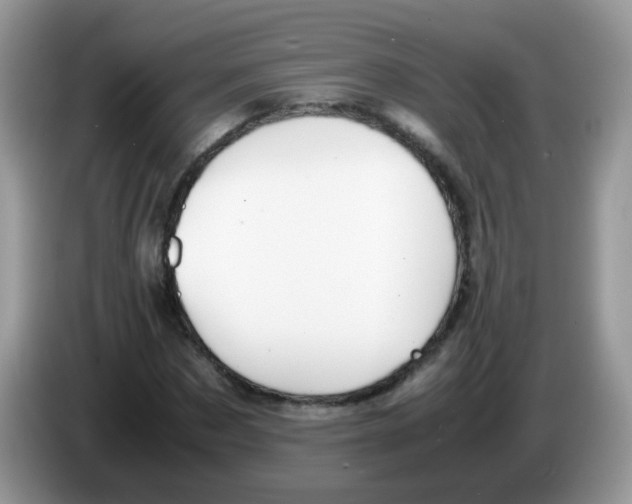 X0000086260873200704261954