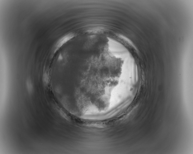 X0000086260874200704261954