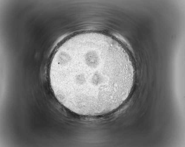 X0000086260875200704261954