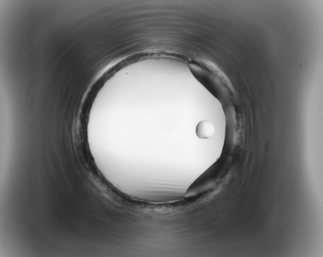 X0000086260876200704261954