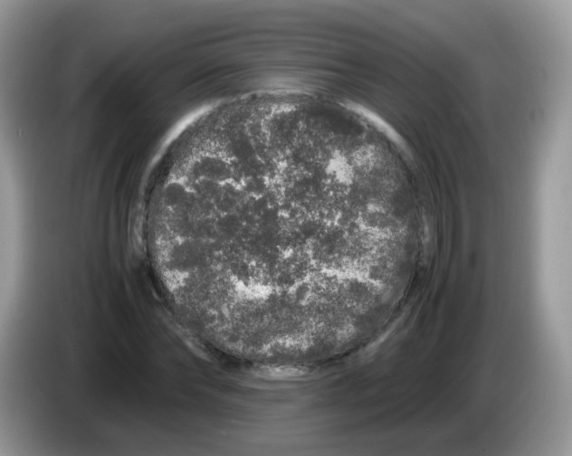 X0000086260878200704261954