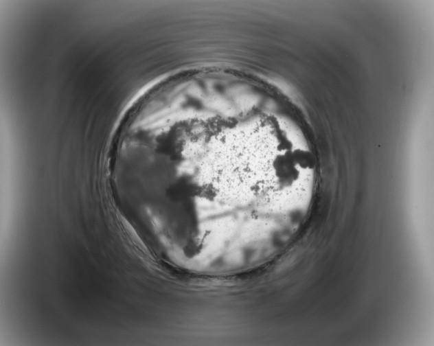 X0000086260879200704261954
