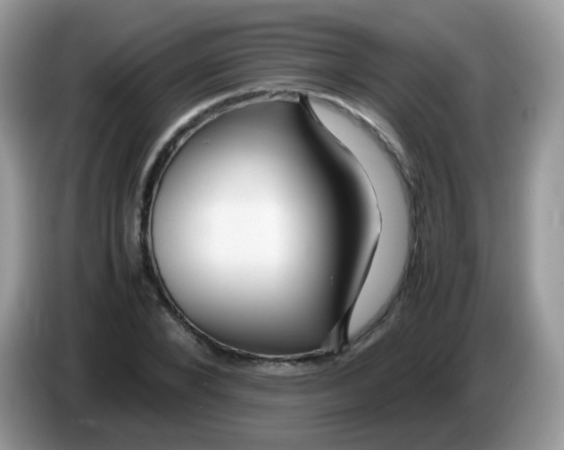 X0000086260880200704261954